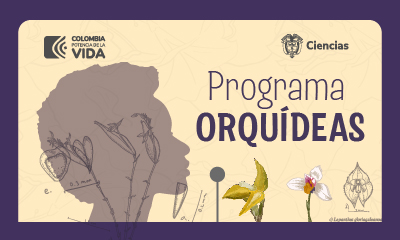 Enlace al sitio especial del Programa Orquídeas